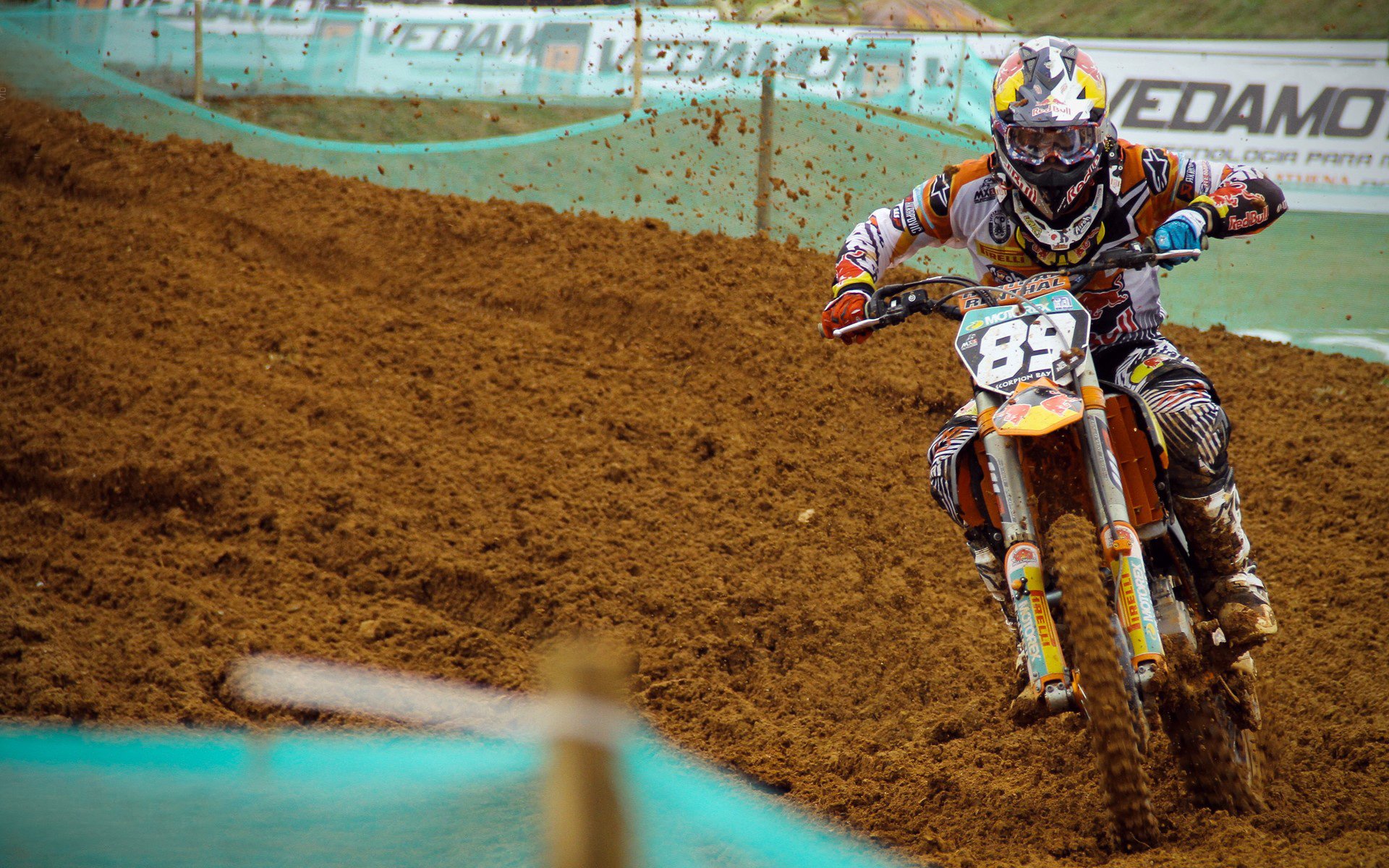 综合格斗赛场焦点！韩国队对阵意大利队，防守反击奏效，球队笑到最后